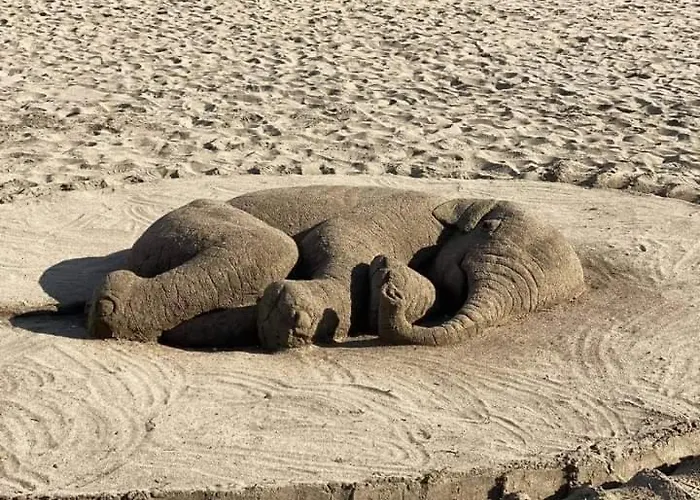 Emona Μπουργκάς